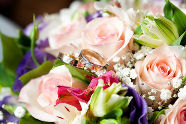 Similar image 663358