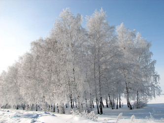 Similar image 663377