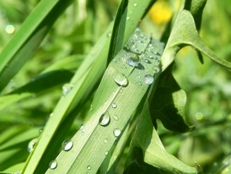 Similar image 663401