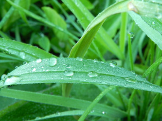 Similar image 663402