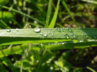 Similar image 663403