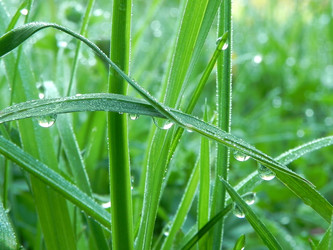 Similar image 663404