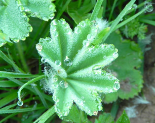 Similar image 663406