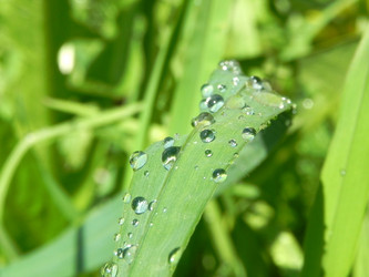 Similar image 663407