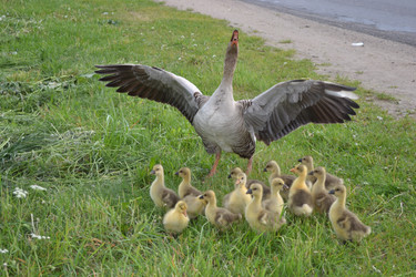 Similar image 663567