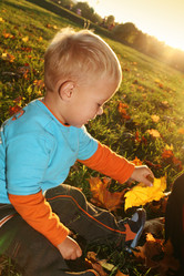 Similar image 663584