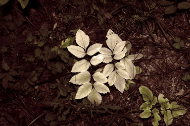 Similar image 663755