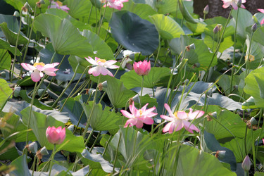 Similar image 663969