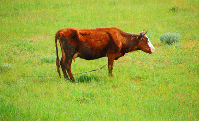 Similar image 663978