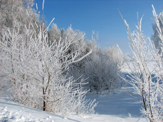 Similar image 664042