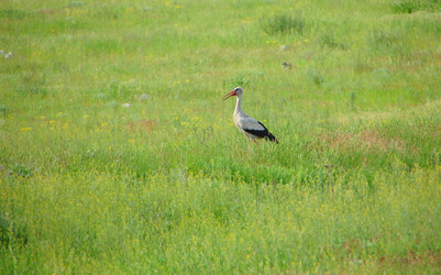 Similar image 664074