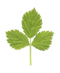 Similar image 664159