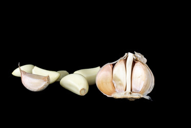 Similar image 664162