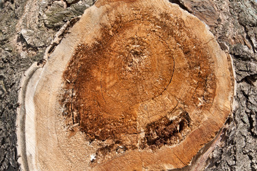 Similar image 664171