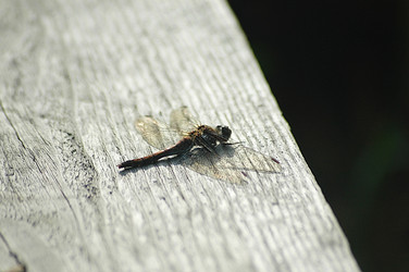 Similar image 664195