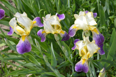 Similar image 664204