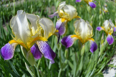 Similar image 664327