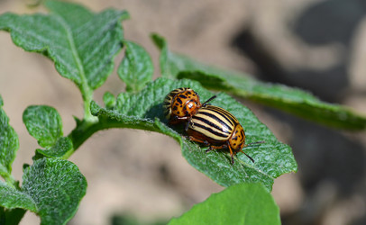 Similar image 664342