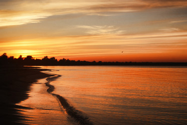 Similar image 664357