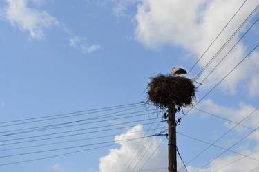 Similar image 664360