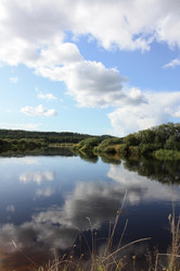 Similar image 664376