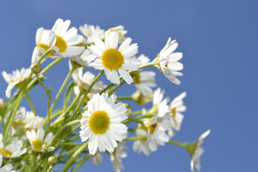 Similar image 664423