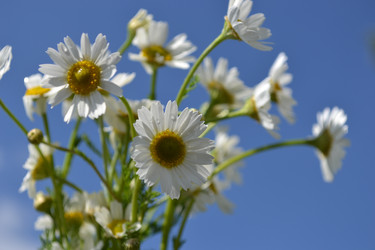 Similar image 664424