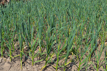 Similar image 664426