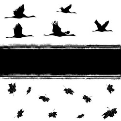 Similar image 664463