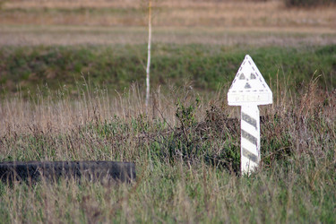 Similar image 664479