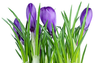 Similar image 664518