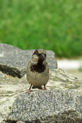 Similar image 664524