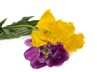 Similar image 664541