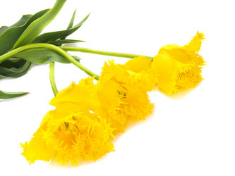 Similar image 664543