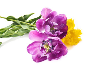 Similar image 664546