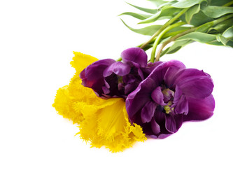 Similar image 664549