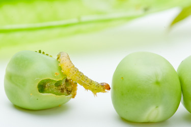 Similar image 664798