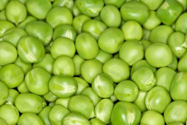 Similar image 664807