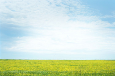 Similar image 664864