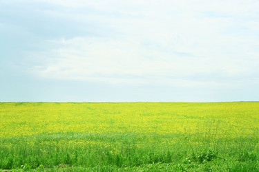 Similar image 664865