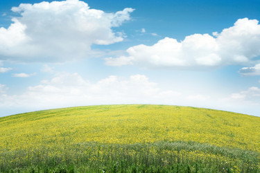 Similar image 664869