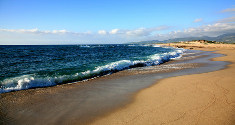 Similar image 664918