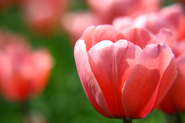 Similar image 665186