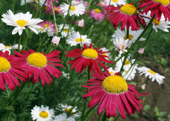 Similar image 665188