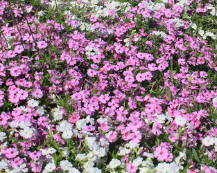 Similar image 665189