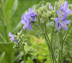 Similar image 665192