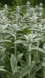 Similar image 665197