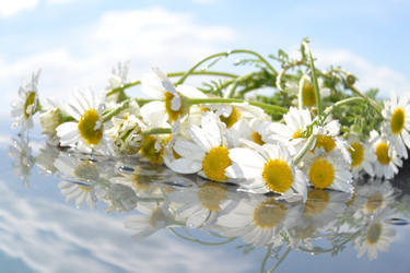 Similar image 665205