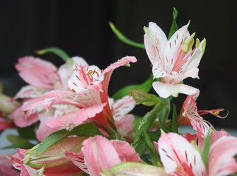 Similar image 665206