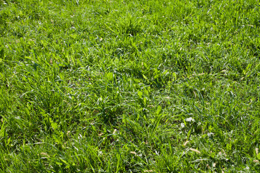 Similar image 665207